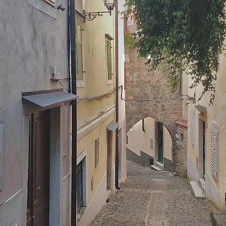 Seaside Serenity House * Piran